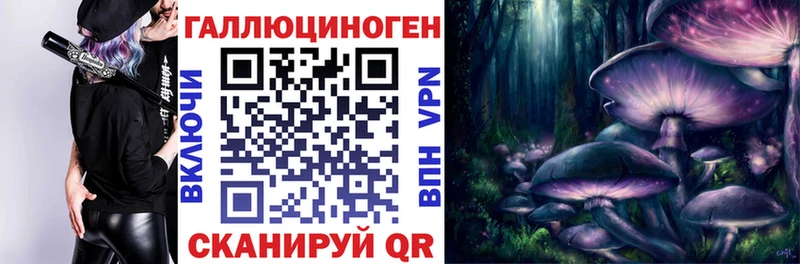 магазин наркотиков Курчалой Псилоцибиновые грибы мухоморы